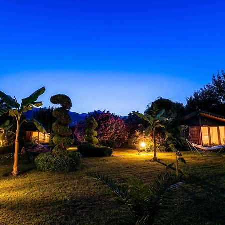 Etenna Beach Bungalows Çıralı Ngoại thất bức ảnh